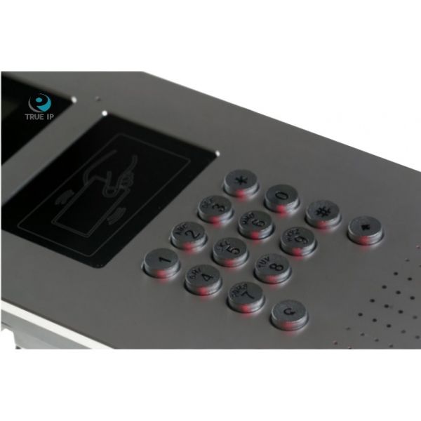 TRUE-IP TI-2220WD
