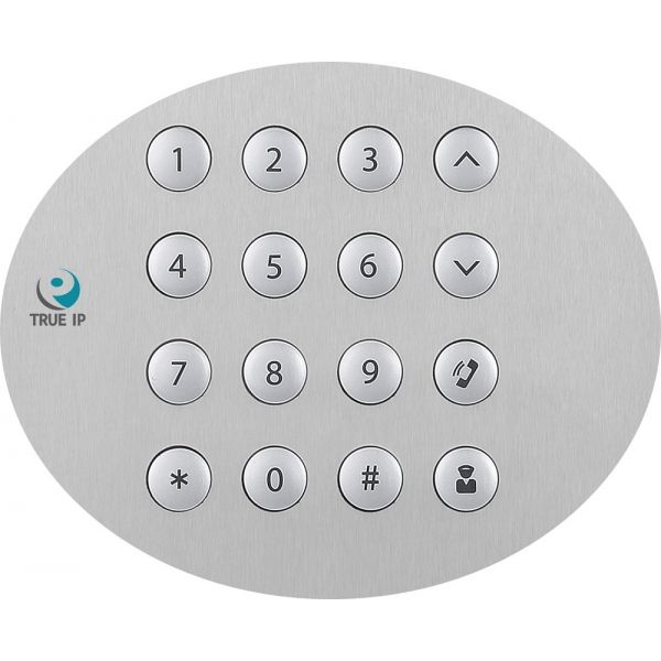 TRUE-IP TI-2400CM