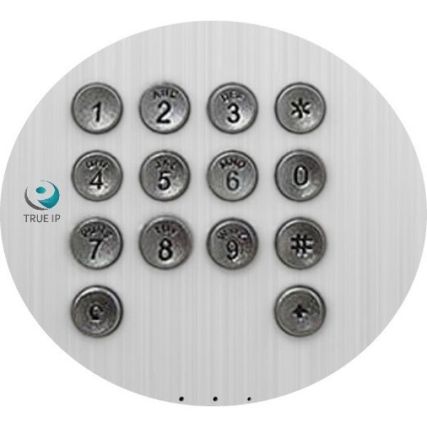 TRUE-IP TI-2220WD