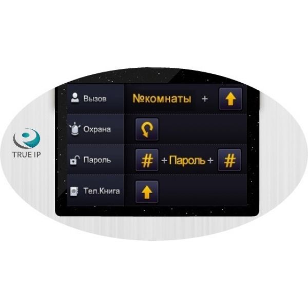 TRUE-IP TI-2220WD
