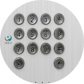 TRUE-IP TI-2220WD