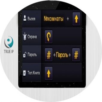 TRUE-IP TI-2220WD