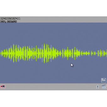 TRASSIR Sound Detector